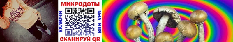Галлюциногенные грибы ЛСД  Чапаевск 